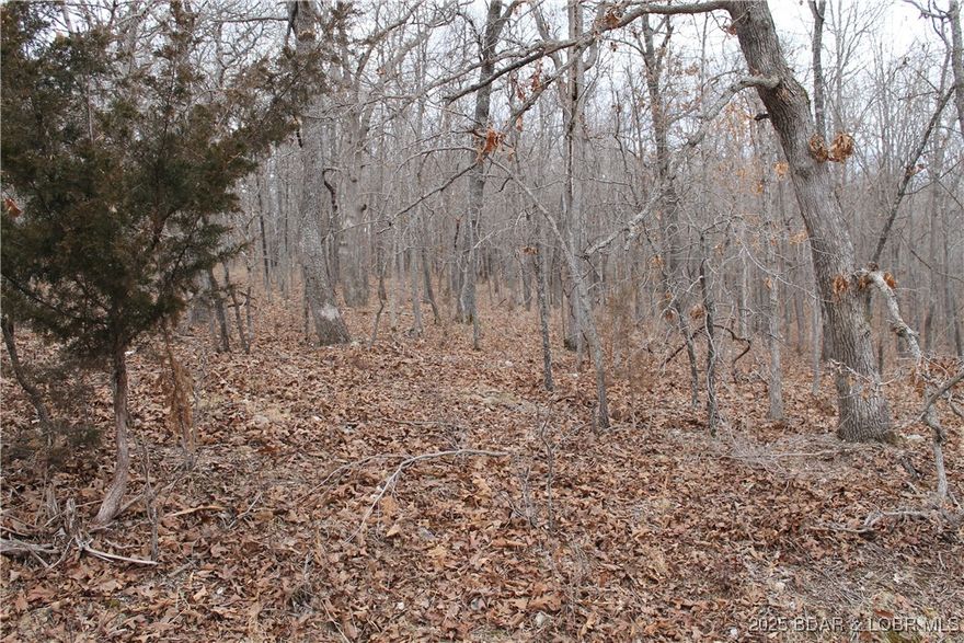 Come enjoy 2+ peaceful acres in the gated community of Forbes Lake of the Ozarks Park. Build your dream home or private retreat surrounded by abundant wildlife. Relax and take in the sights of deer, turkey, and other abundant wildlife, or explore the community’s outstanding amenities, including interior lakes, boat ramps, tennis courts, RV park, and more. Just 30 minutes to Warsaw and a little over 2 hours to Kansas City.