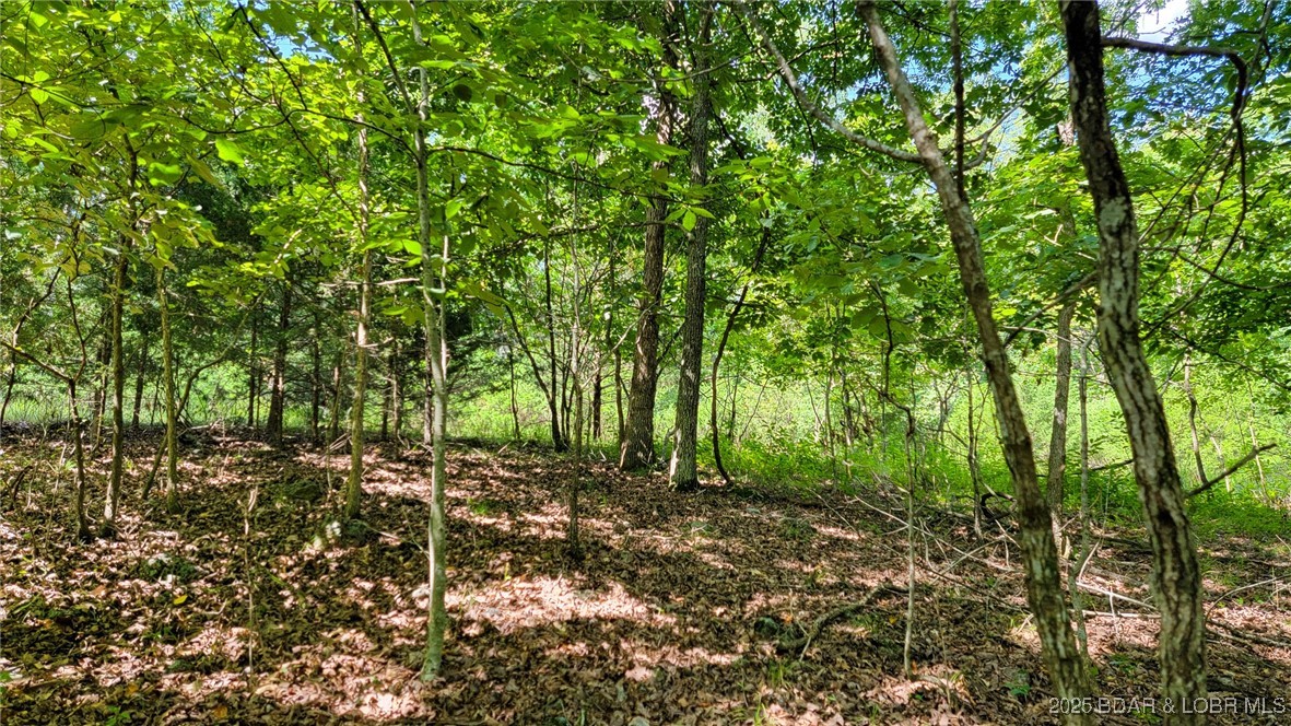 Heritage Isle - Land