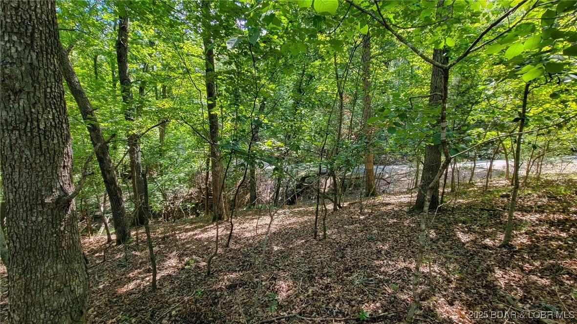 Heritage Isle - Land