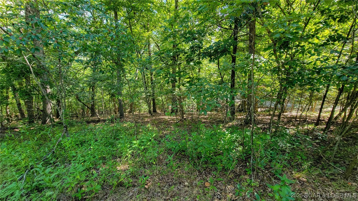 Heritage Isle - Land