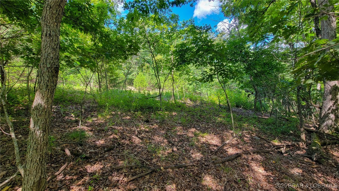 Heritage Isle - Land