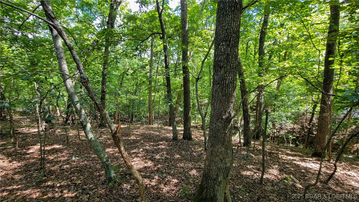 Heritage Isle - Land