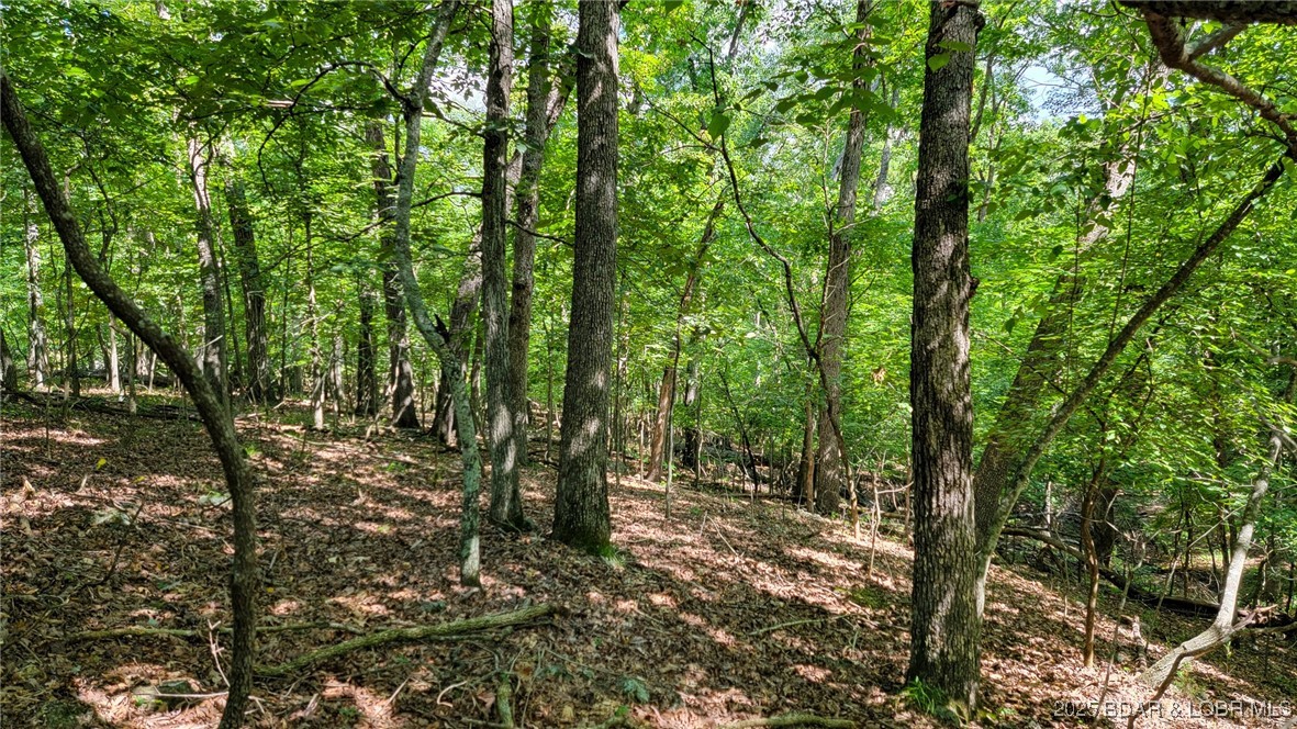 Heritage Isle - Land