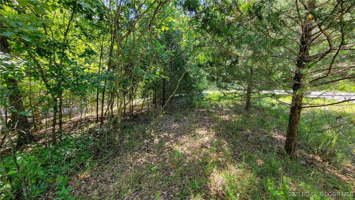 Heritage Isle - Land