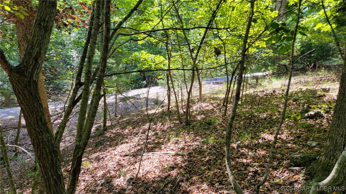 Heritage Isle - Land