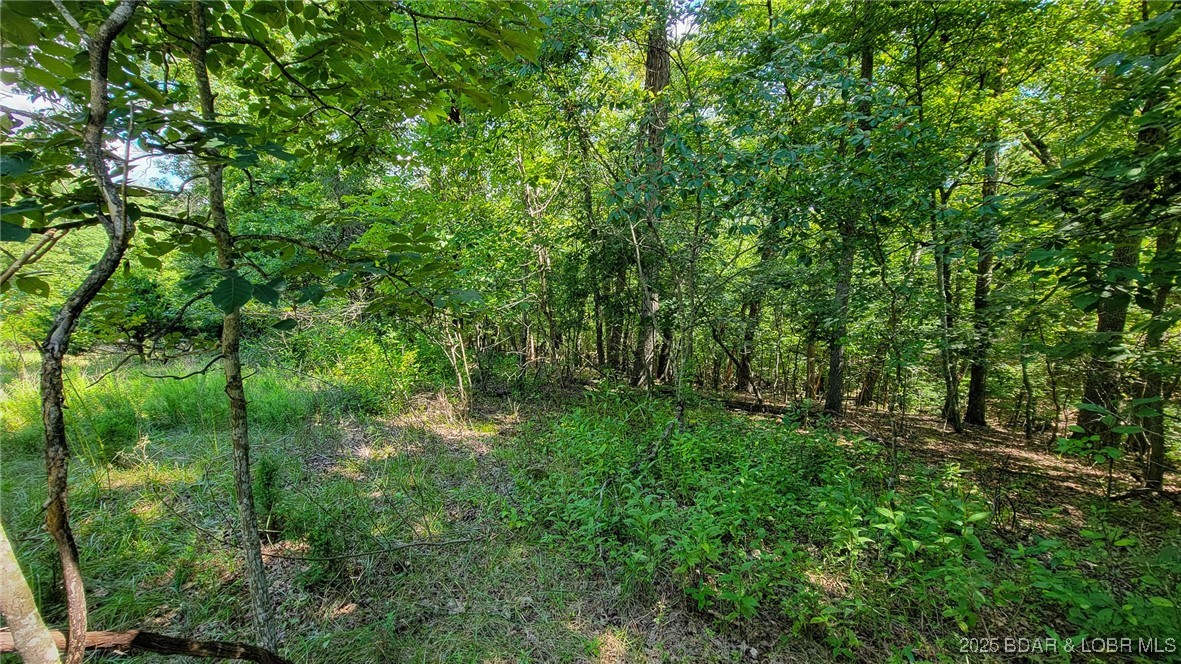 Heritage Isle - Land