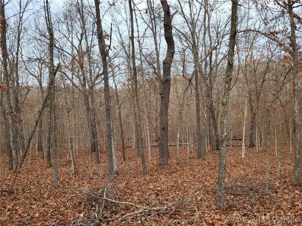 Forbes Lake of the Ozarks - Land