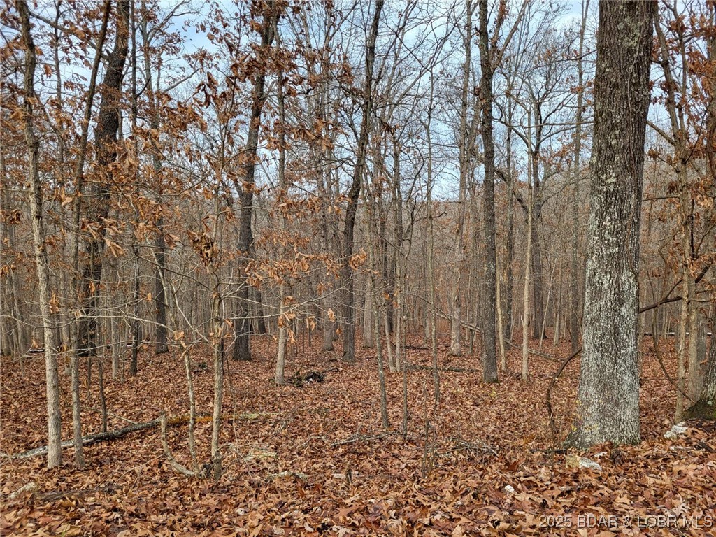 Forbes Lake of the Ozarks - Land