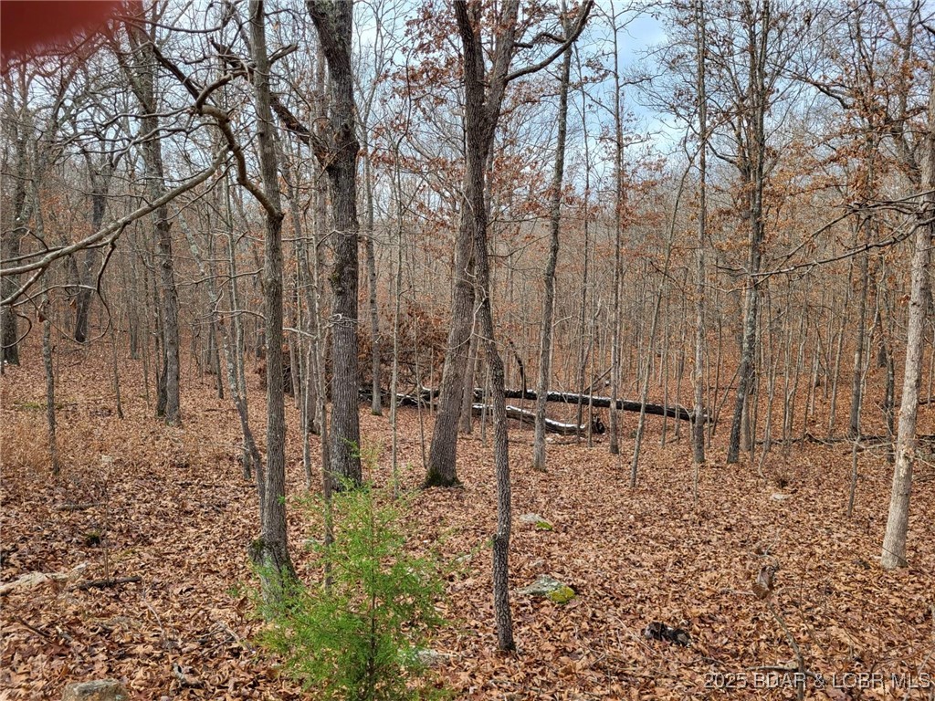 Forbes Lake of the Ozarks - Land