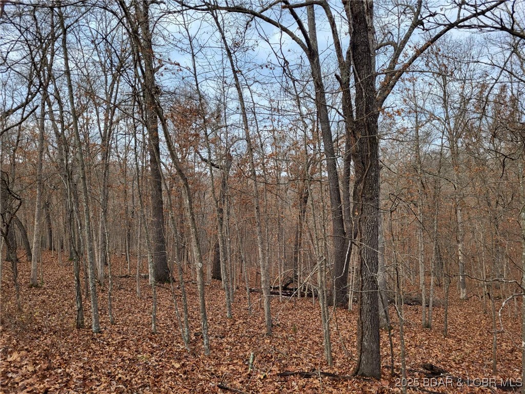 Forbes Lake of the Ozarks - Land
