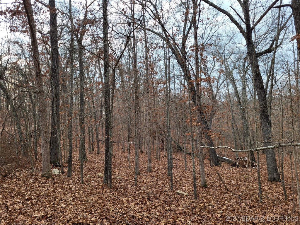 Forbes Lake of the Ozarks - Land