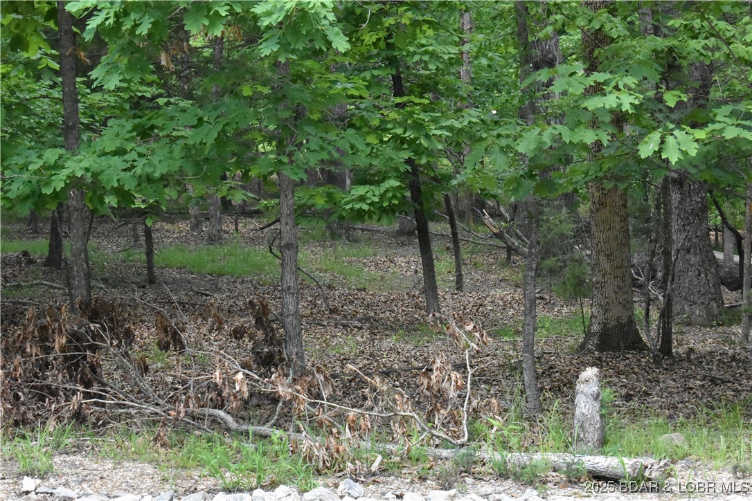 Kays Point #2 - Land