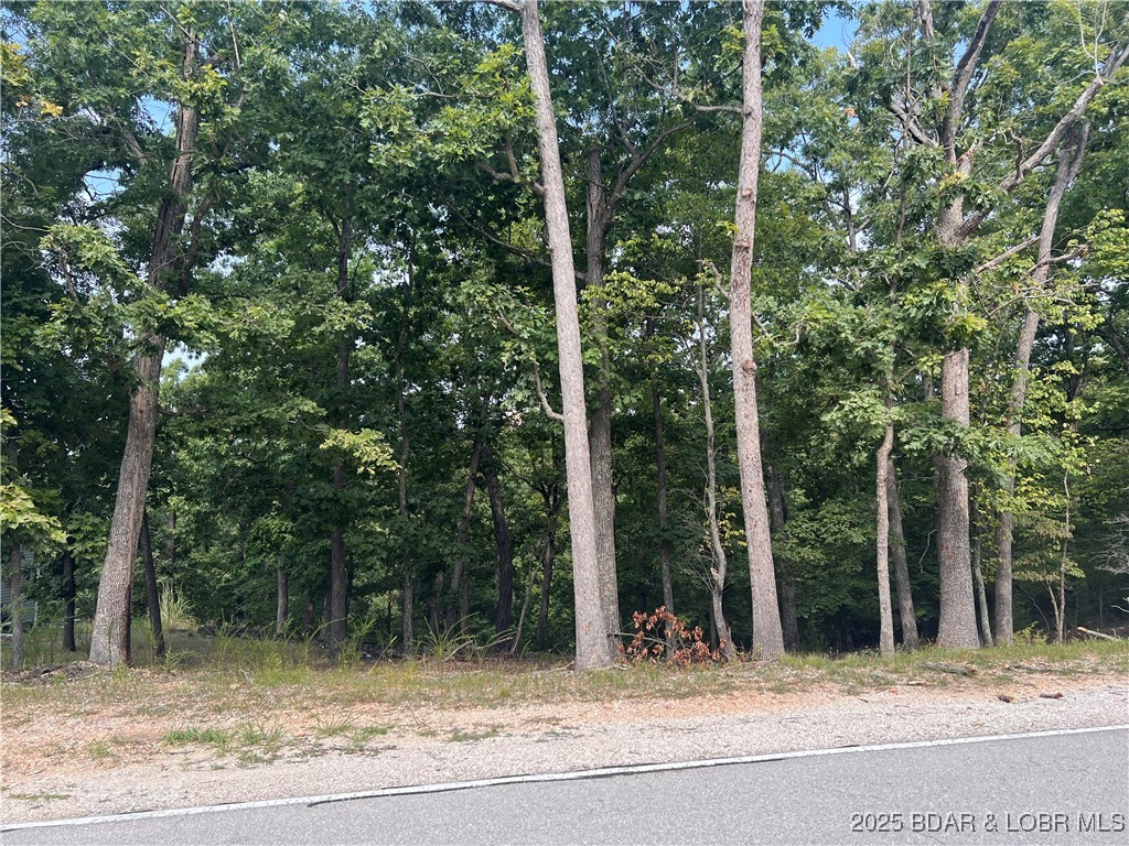 Palisades Point #5 - Land