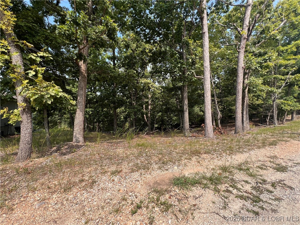 Palisades Point #5 - Land