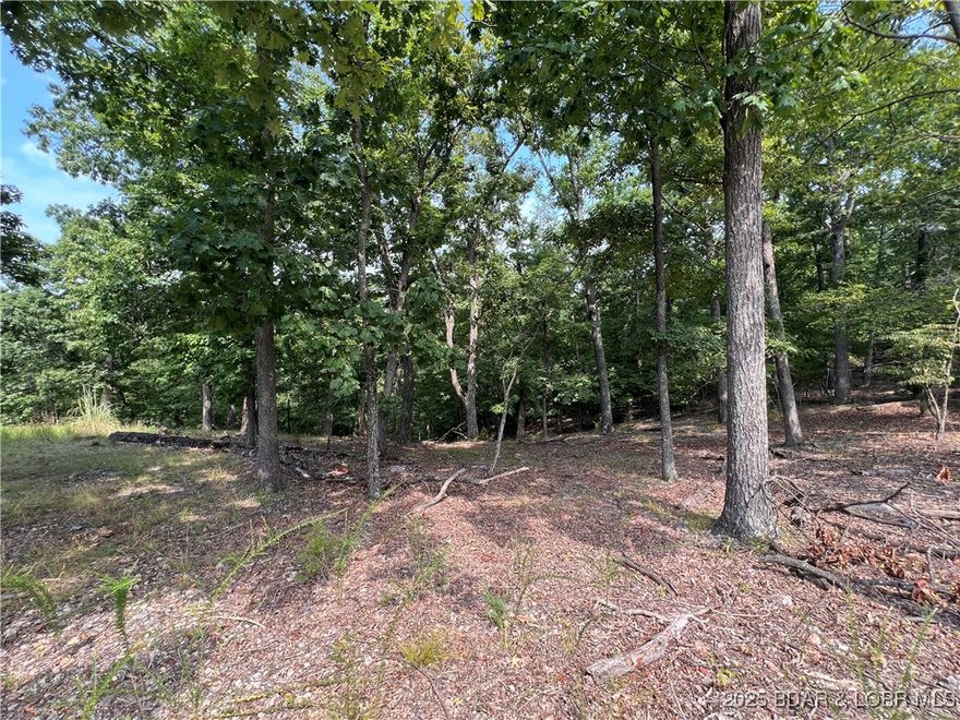 Four Seasons build lot in a fantastic location! Situated on Eagle Dr. just off of Horseshoe Bend Pkwy, this lot is the perfect place to build your next home! With gentle topography from the road you'll be able to have the gentle driveway you desire. The lot then slopes down hill, providing the perfect opportunity for a walk-out lower level and amazing wooded view and privacy. With a great price and access to all Four Seasons amenities, don't miss this opportunity - call today!