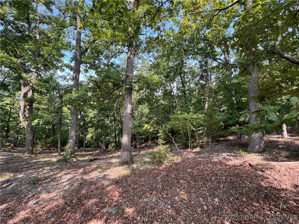 Palisades Point #5 - Land