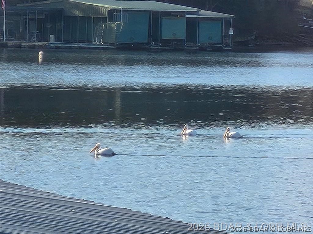 Mill Creek - Residential