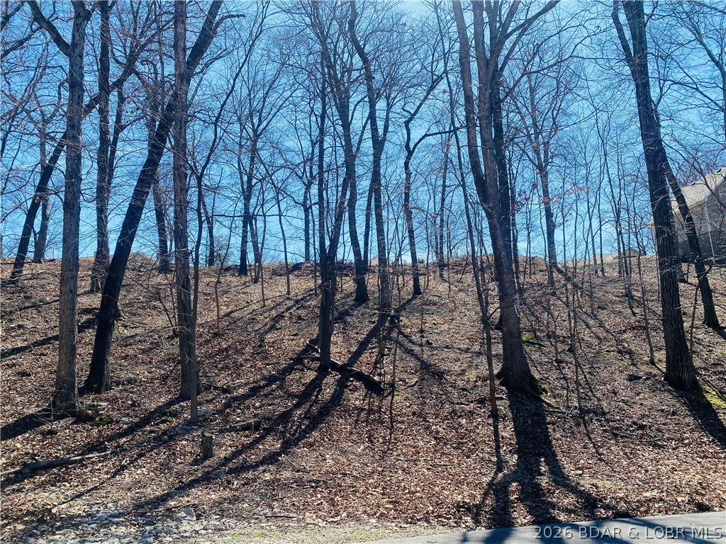 Beacon Pointe - Land