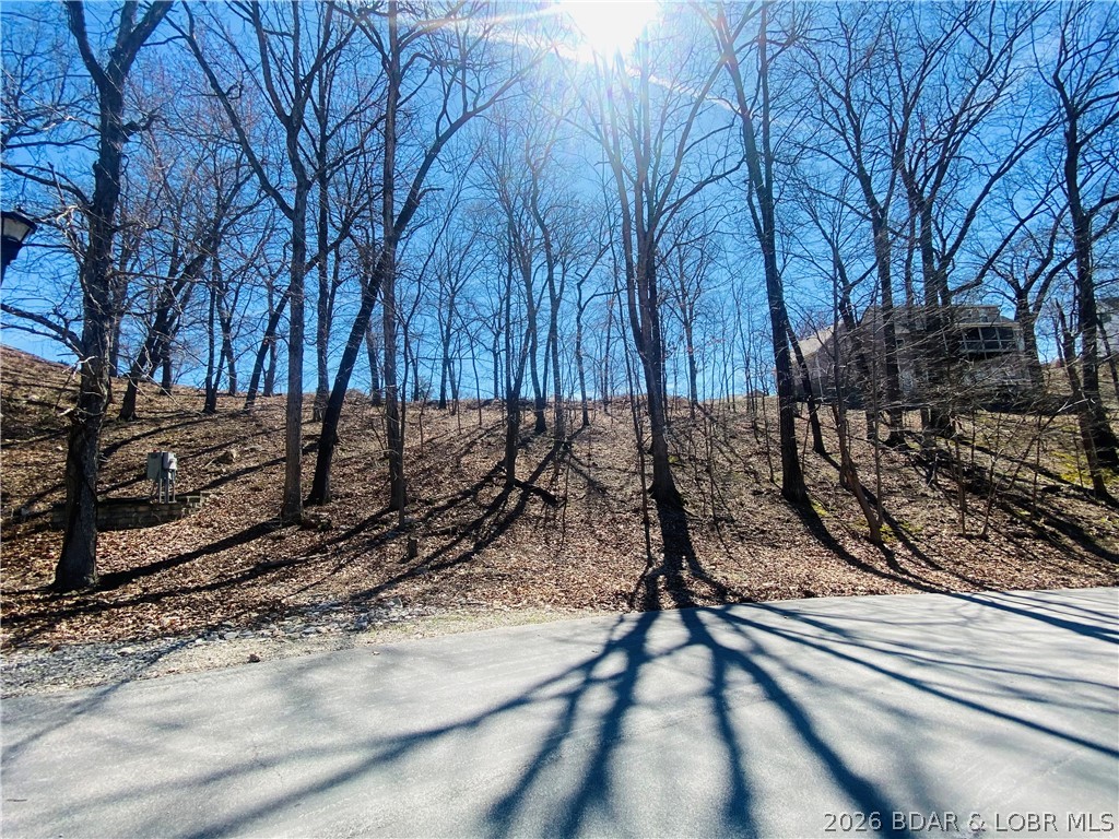 Beacon Pointe - Land