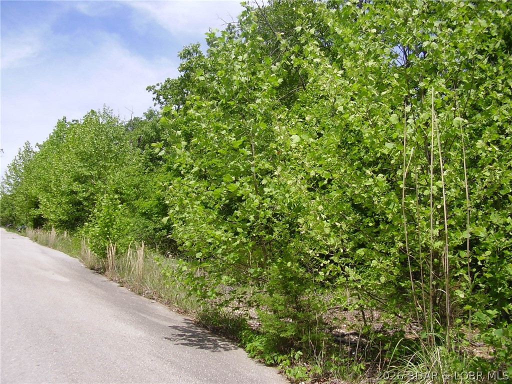 J Bar H Estates - Land