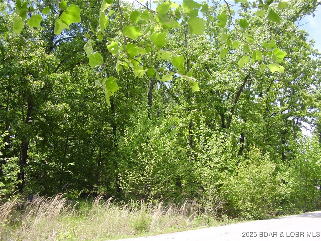 J Bar H Estates - Land