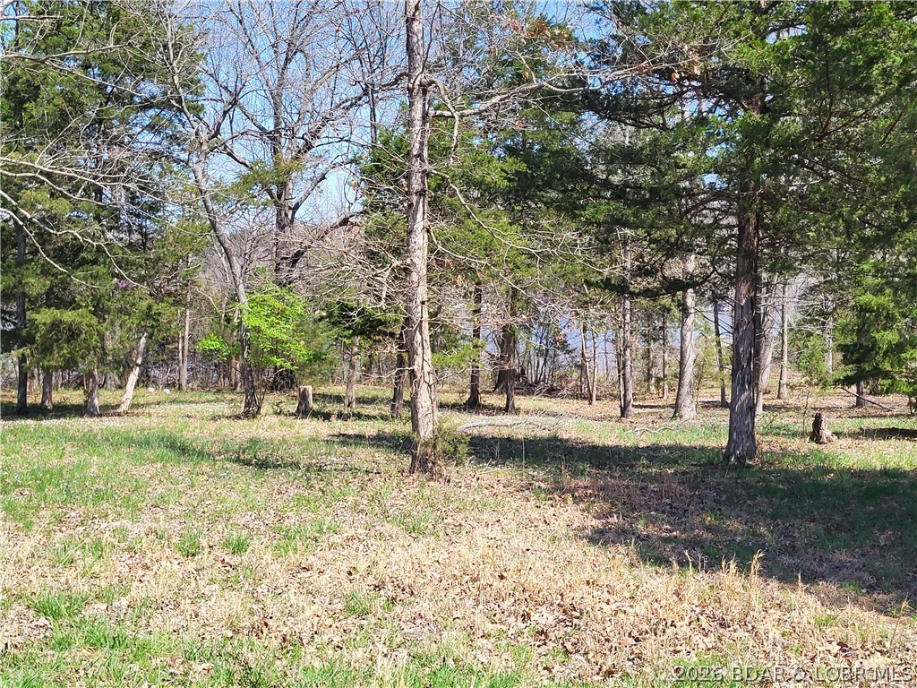 Emerald Hills - Land