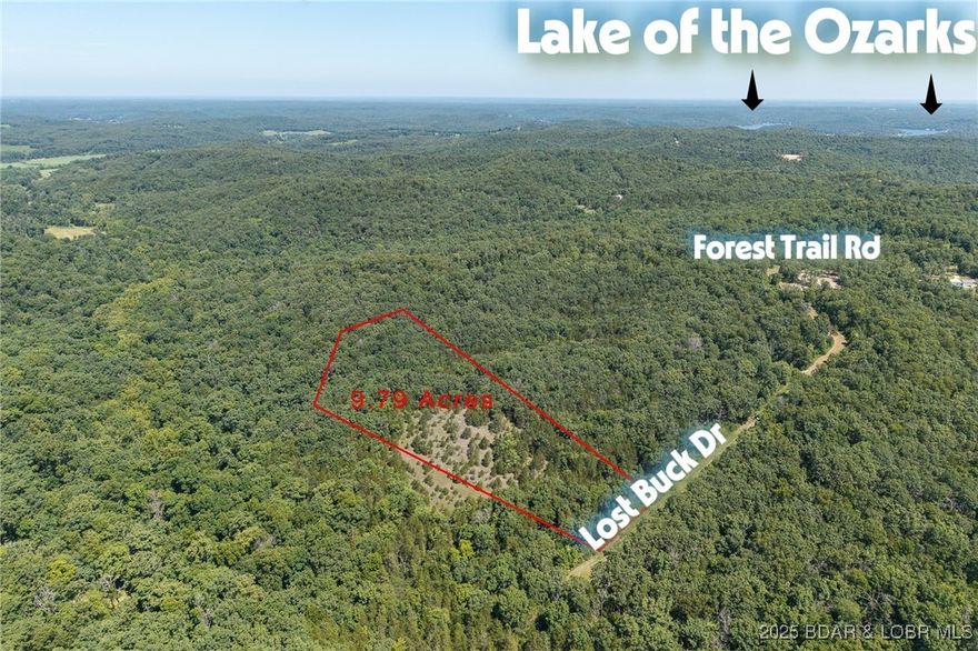 Two lots totaling 9.79 Acres.  All lots have underground electric ran to them. Minimal rules and regs. Larry R Gale public boat lunch is close by for all you access needs. More acreage available to purchase if needed. Private setting to build your dream country home on! Shouse style homes are allowed! Come stake your claim on some acreage today!
