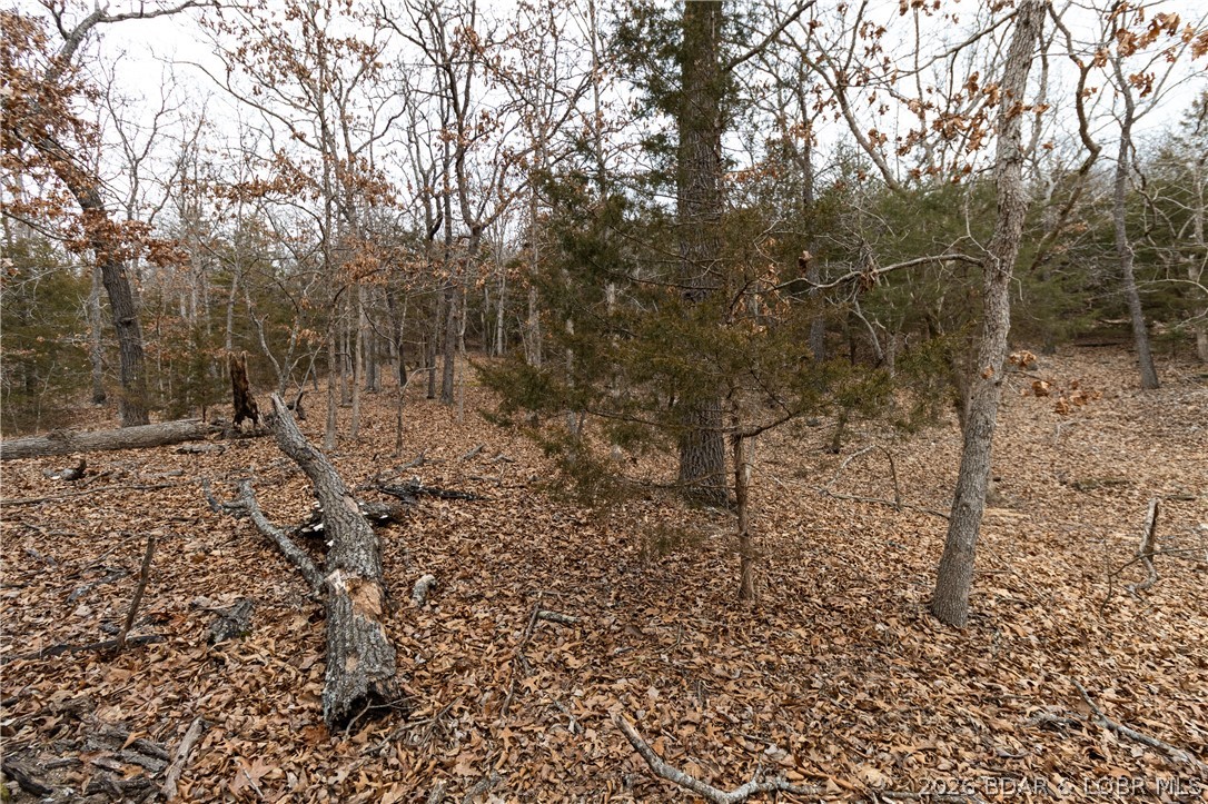 Whispering Springs - Residential