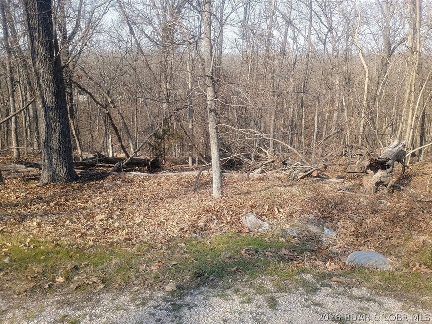 Build Your Dream in Four Seasons! ???
Discover the perfect blend of privacy and location with this beautiful 0.241-acre wooded lot nestled in the highly desirable Four Seasons community. Surrounded by mature trees, this property offers a peaceful, natural setting—ideal for creating your own custom retreat while still being close to everything the Lake has to offer.

Whether you're looking to build now or invest for the future, this lot delivers endless potential with its prime location and serene atmosphere. Enjoy the lifestyle Four Seasons is known for, including access to amenities, nearby golf, dining, and lake activities.

Opportunities like this don’t last!! Secure your spot and start planning your dream build today! ??