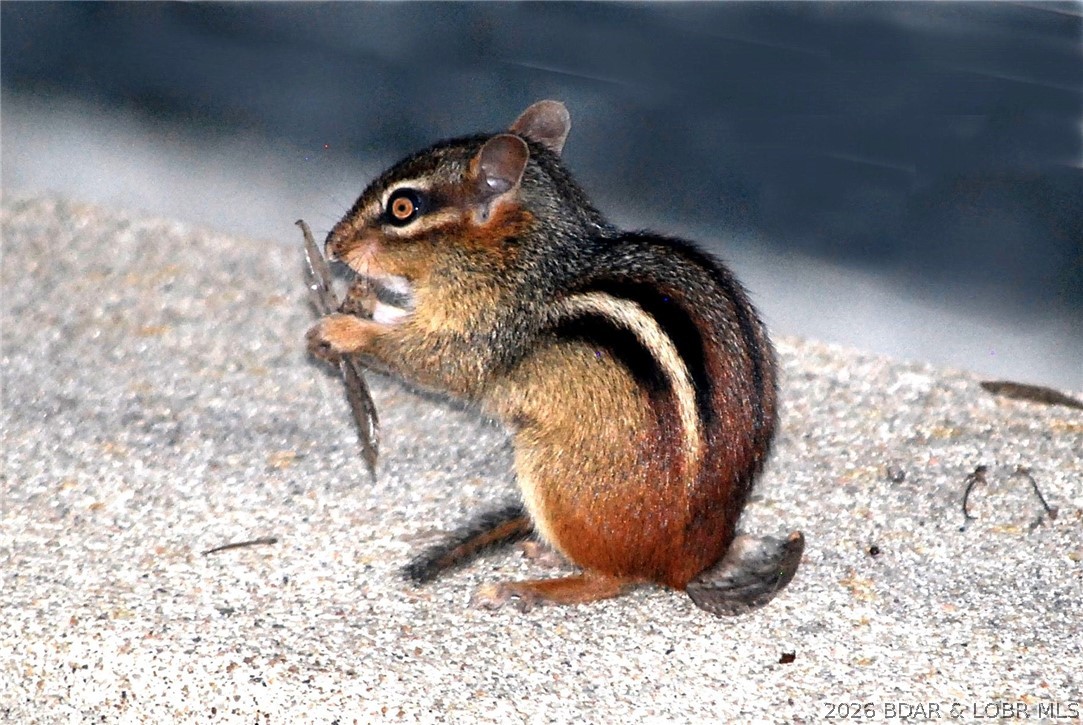 Waterford Landing - Residential