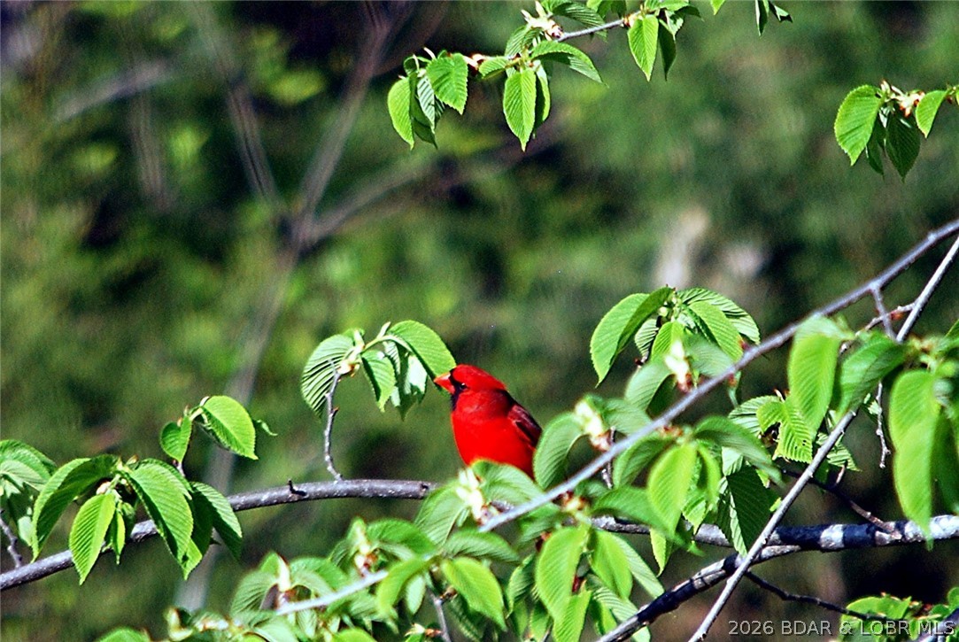 Waterford Landing - Residential