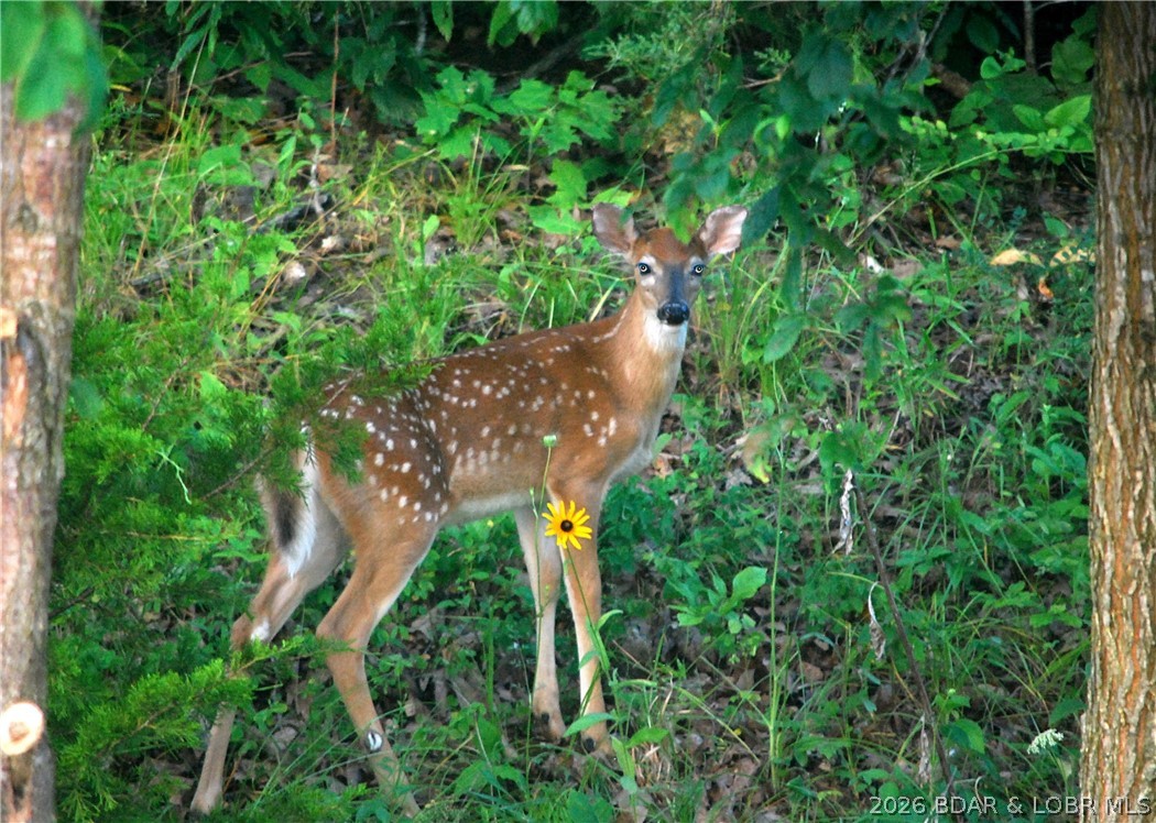 Waterford Landing - Residential