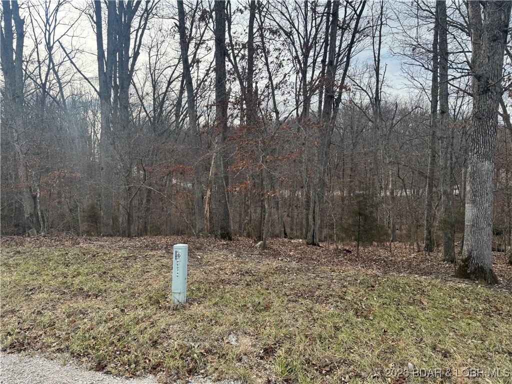 Cornett Cove No. 4 - Land