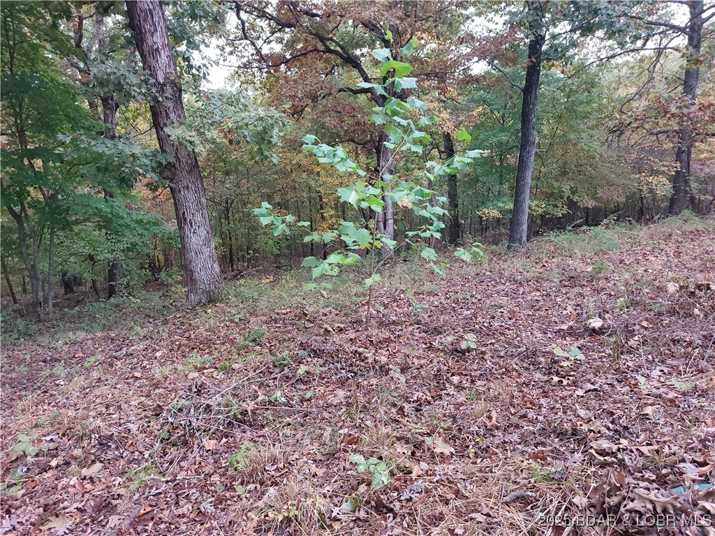 Rabbit Run - Residential