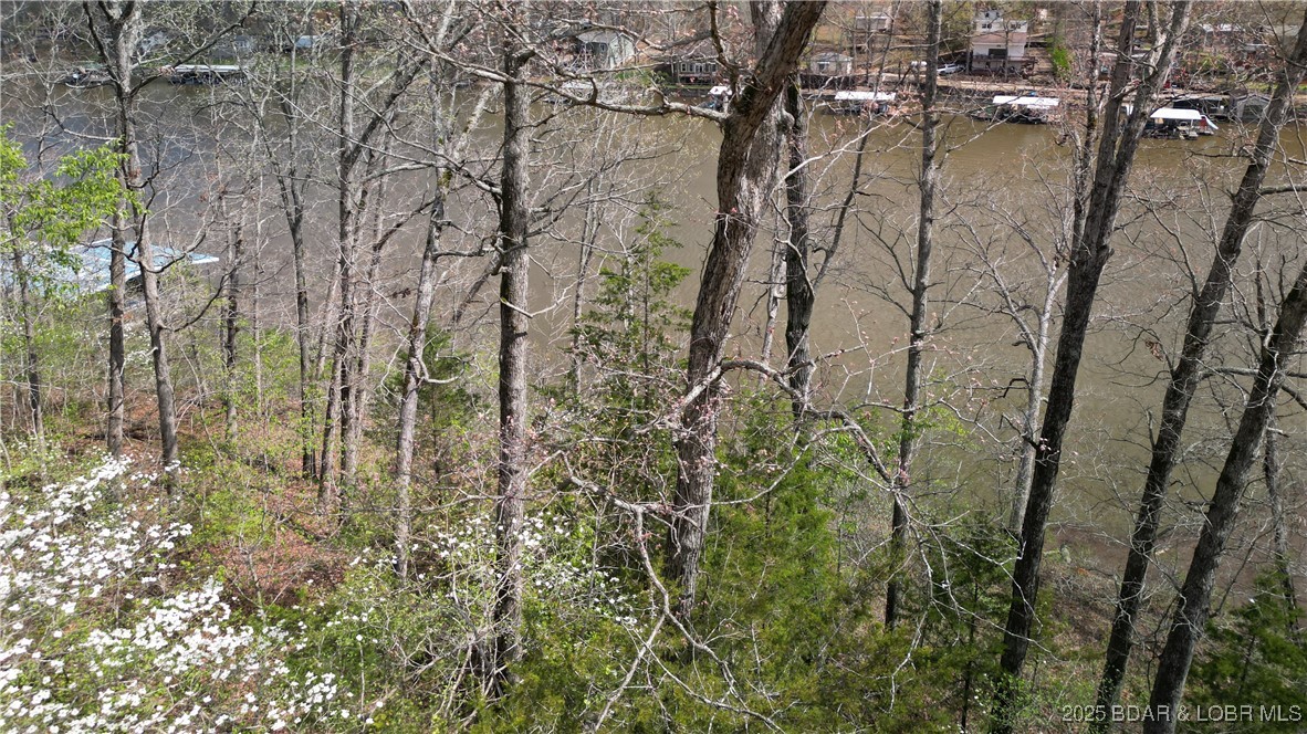 Mallard Bay II - Land