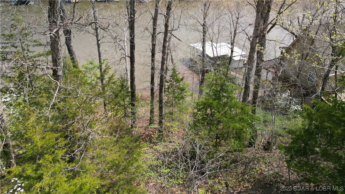 Mallard Bay II - Land