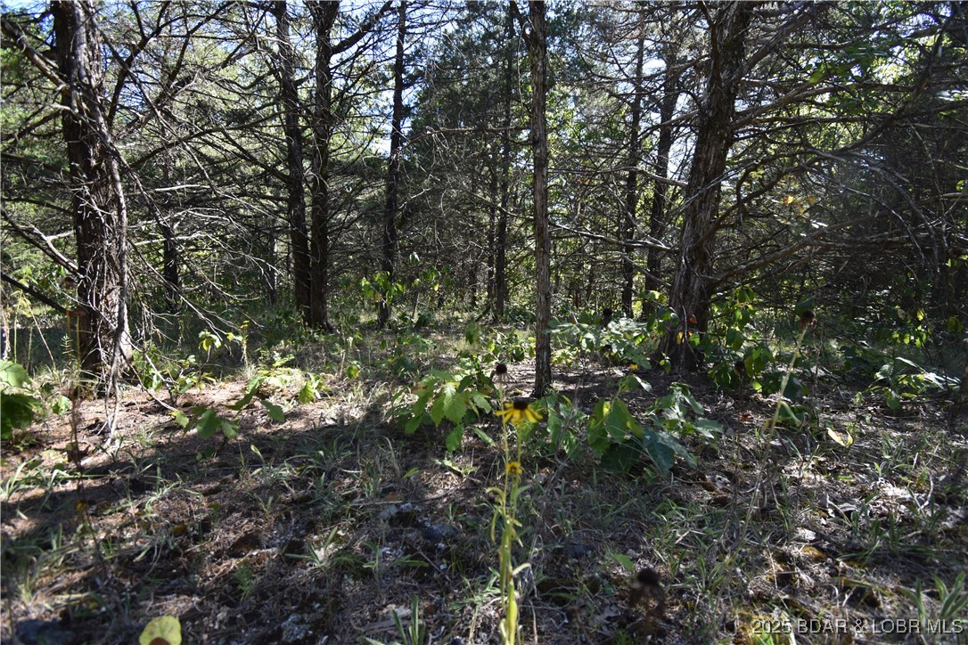 Indian Creek Hills - Land