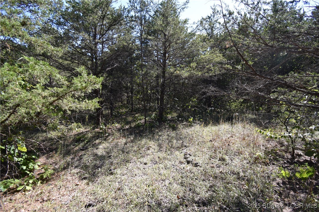 Indian Creek Hills - Land