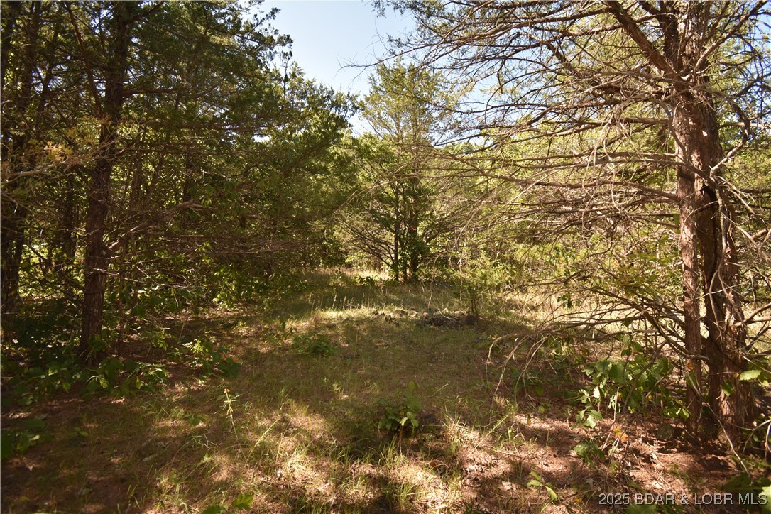 Indian Creek Hills - Land