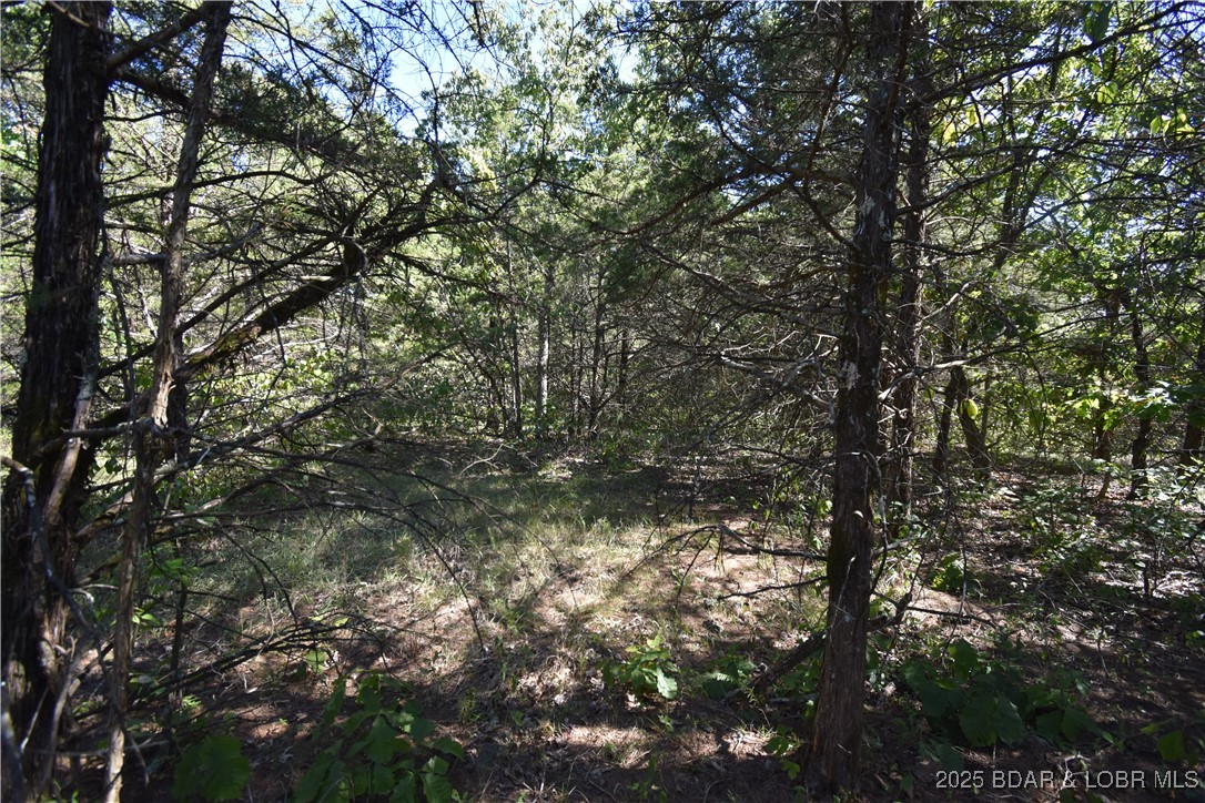 Indian Creek Hills - Land