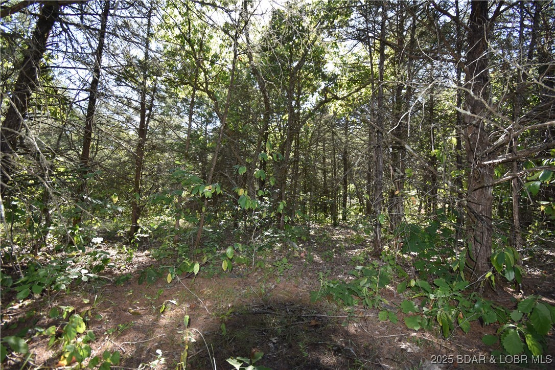 Indian Creek Hills - Land