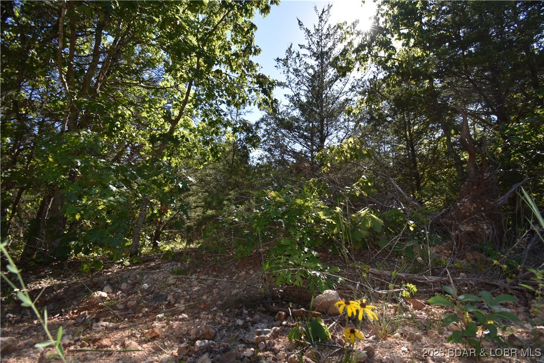 Indian Creek Hills - Land