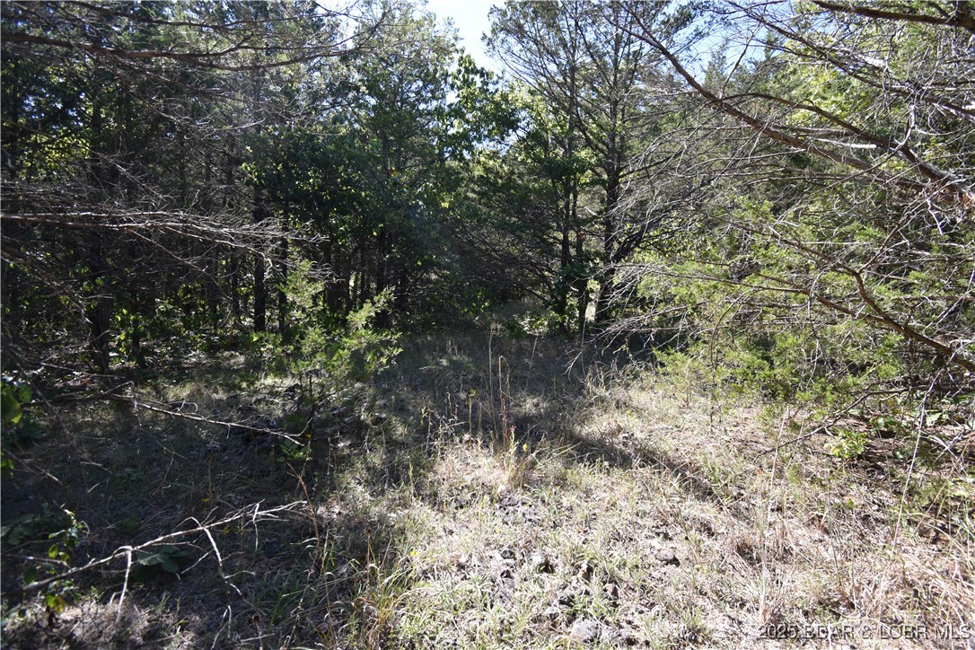 Indian Creek Hills - Land