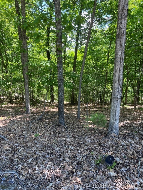 Palisades Point # 2 - Land