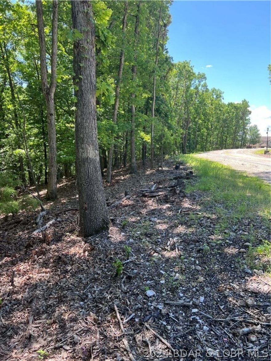 Come take a look at this great building lot for your dream home in a very sought after and upscale neighborhood in Palisades Point. Come see the privacy all with a culd-de-sac location. You can enjoy all the Four Seasons amenities even with a brand new indoor and outdoor aquatic center, with work out room, out community pools, playground, dog park is near by, clubhouse boat ramp close by. This could be a builders dream!!!