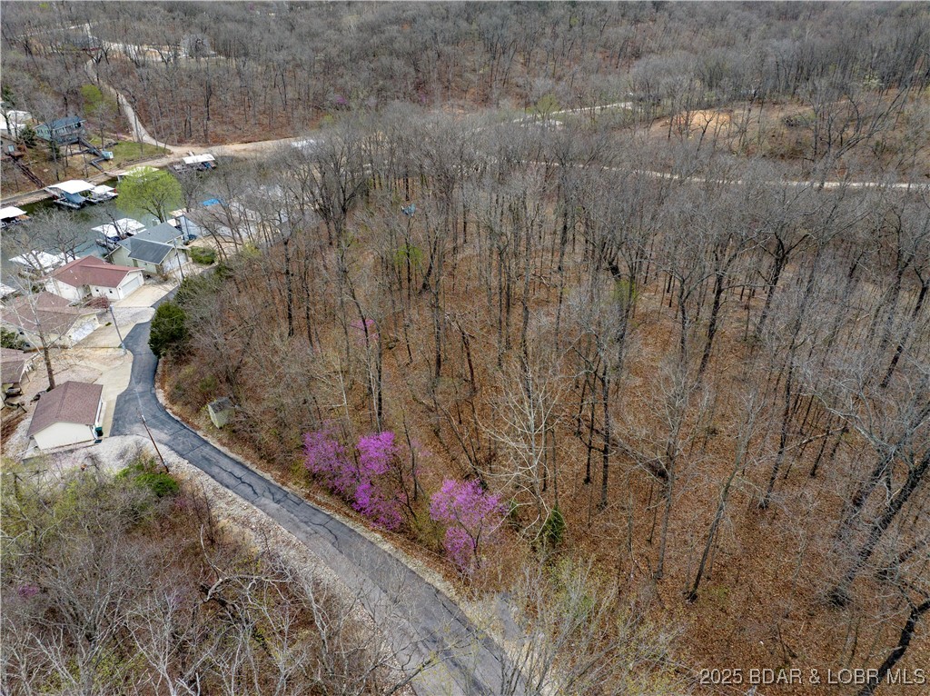 Stacys Hollow - Land