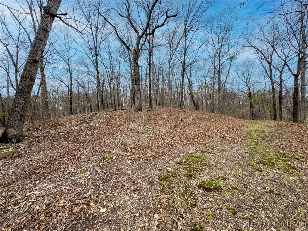 Stacys Hollow - Land