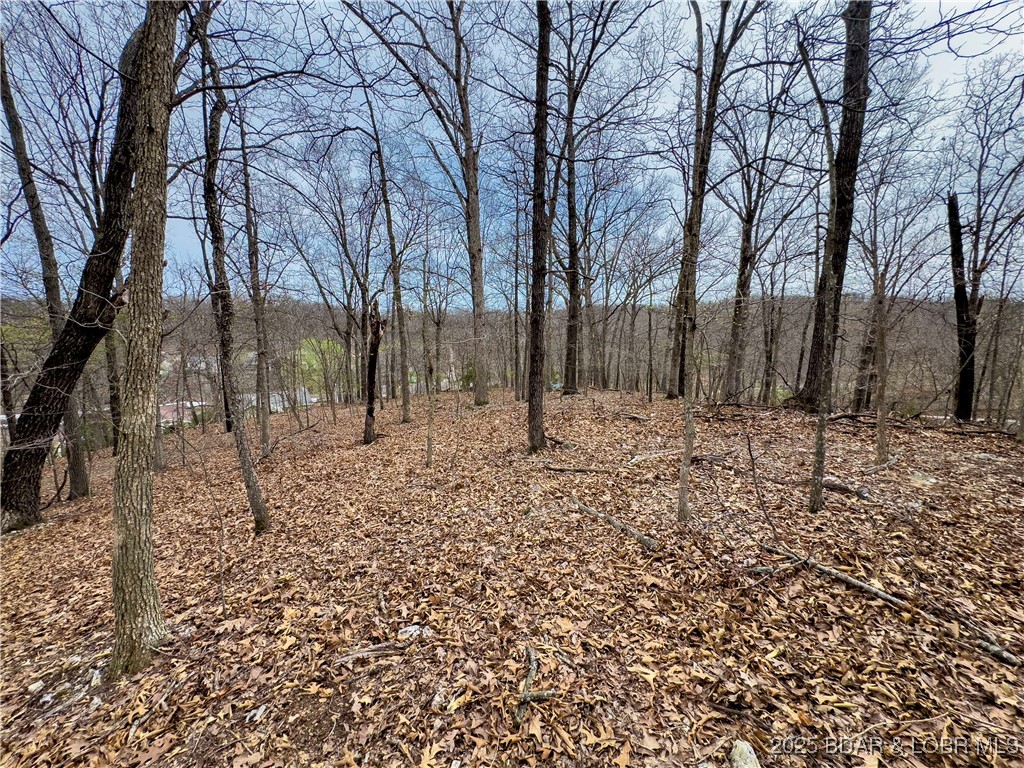 Stacys Hollow - Land