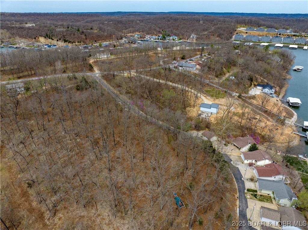 Stacys Hollow - Land