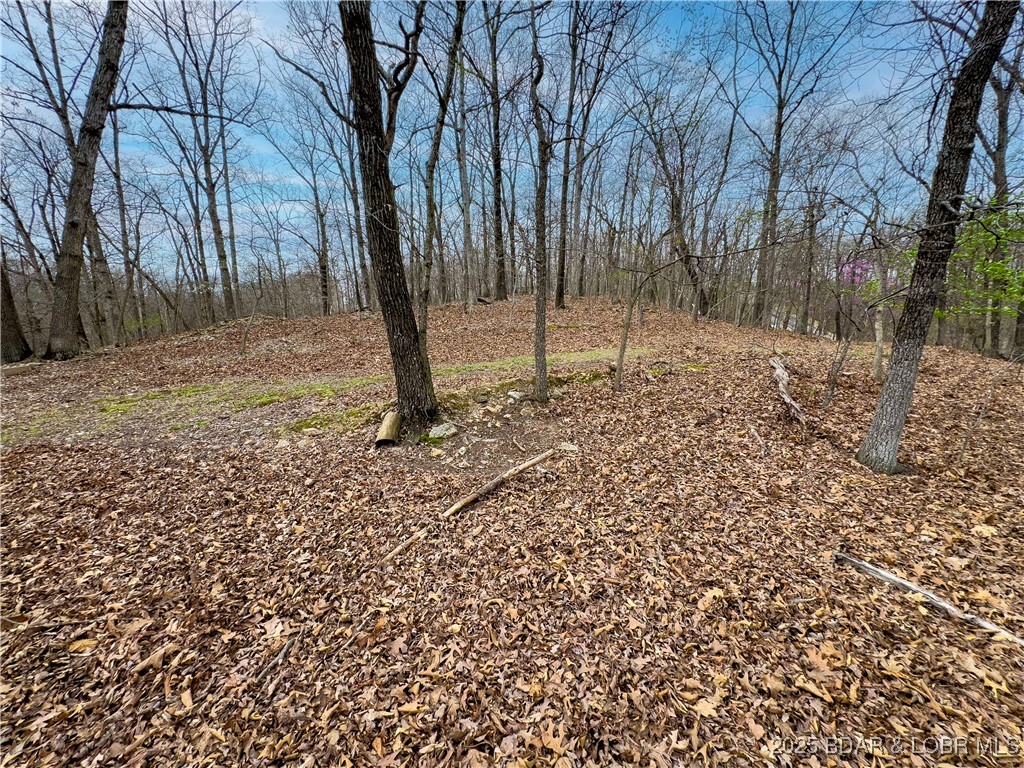 Stacys Hollow - Land